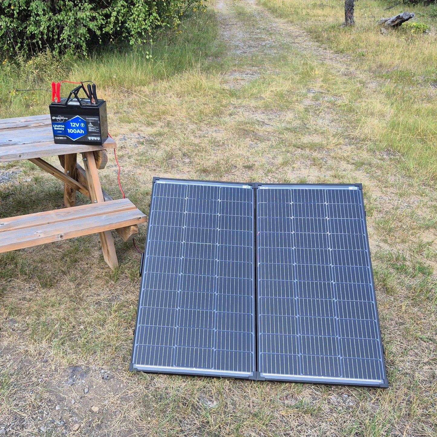 200 Watt Folding Solar Panel Kit w/ MPPT