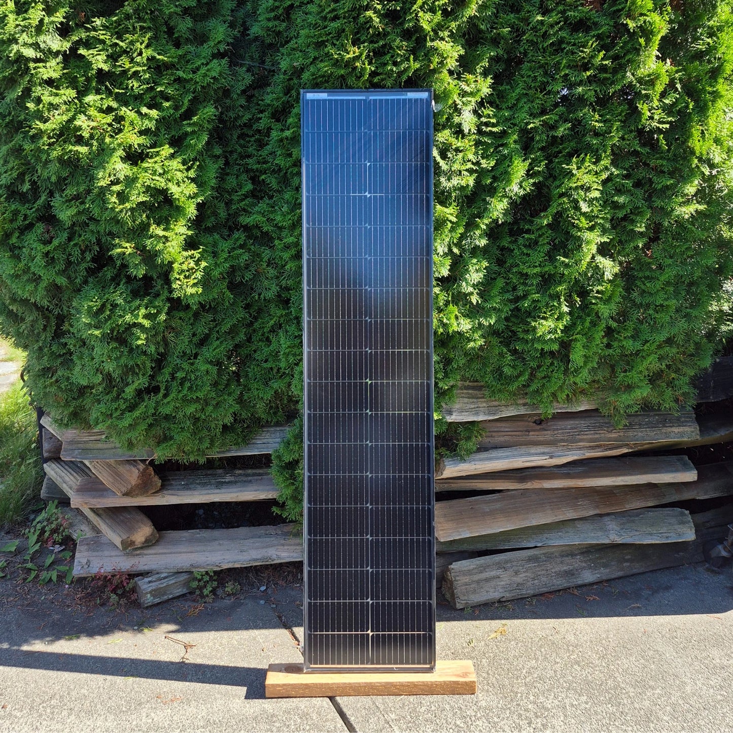 Lumera 140W LS140BI solar panel leaning against a green hedge