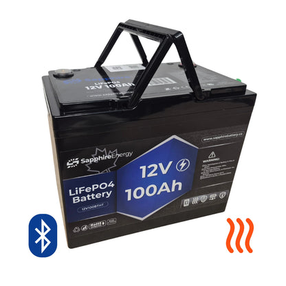 12V 100Ah 12.8 Volt 100 Amp hour Self Heating Bluetooth Lithium Battery LiFePO4