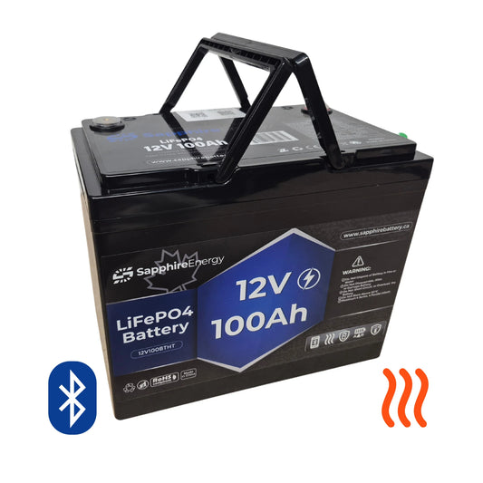 12V 100Ah 12.8 Volt 100 Amp hour Self Heating Bluetooth Lithium Battery LiFePO4